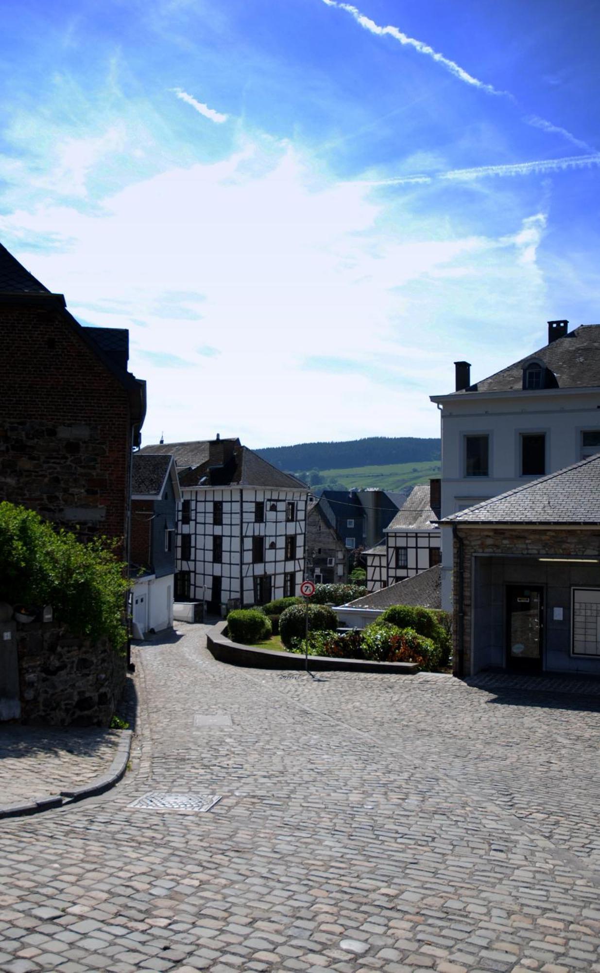 Willa Hottonruy 4 Stavelot Zewnętrze zdjęcie
